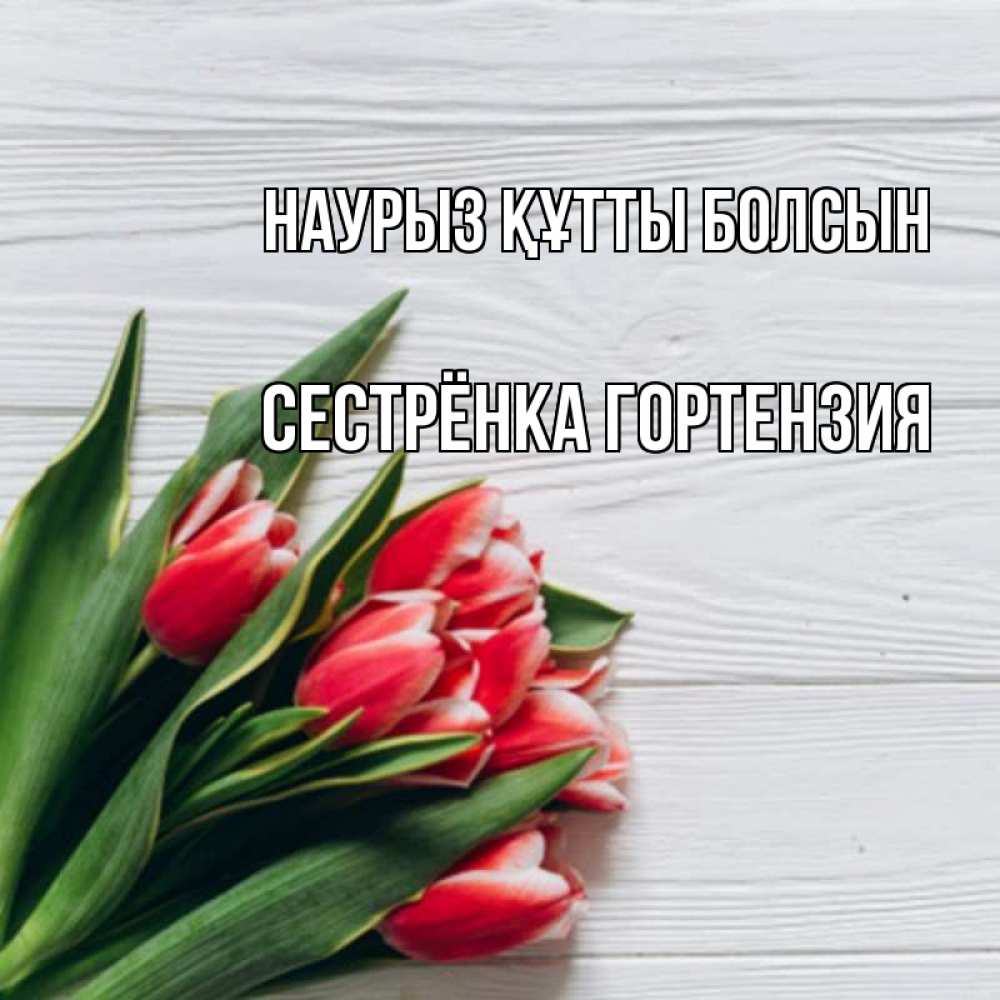 Открытка на каждый день с именем, Сестрёнка-Гортензия Наурыз құтты болсын весна 2 Прикольная открытка с пожеланием онлайн скачать бесплатно 