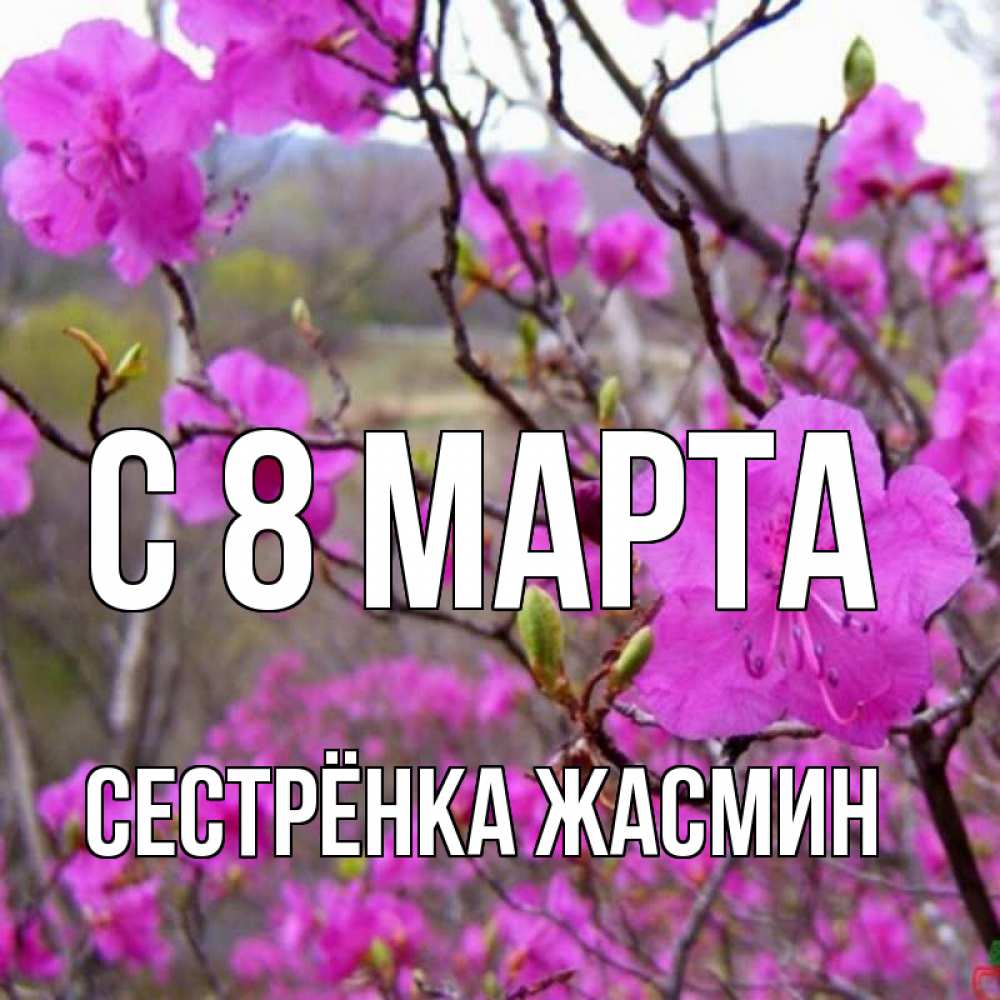 Картинка С 8 МАРТА, Сестрёнка Жасмин