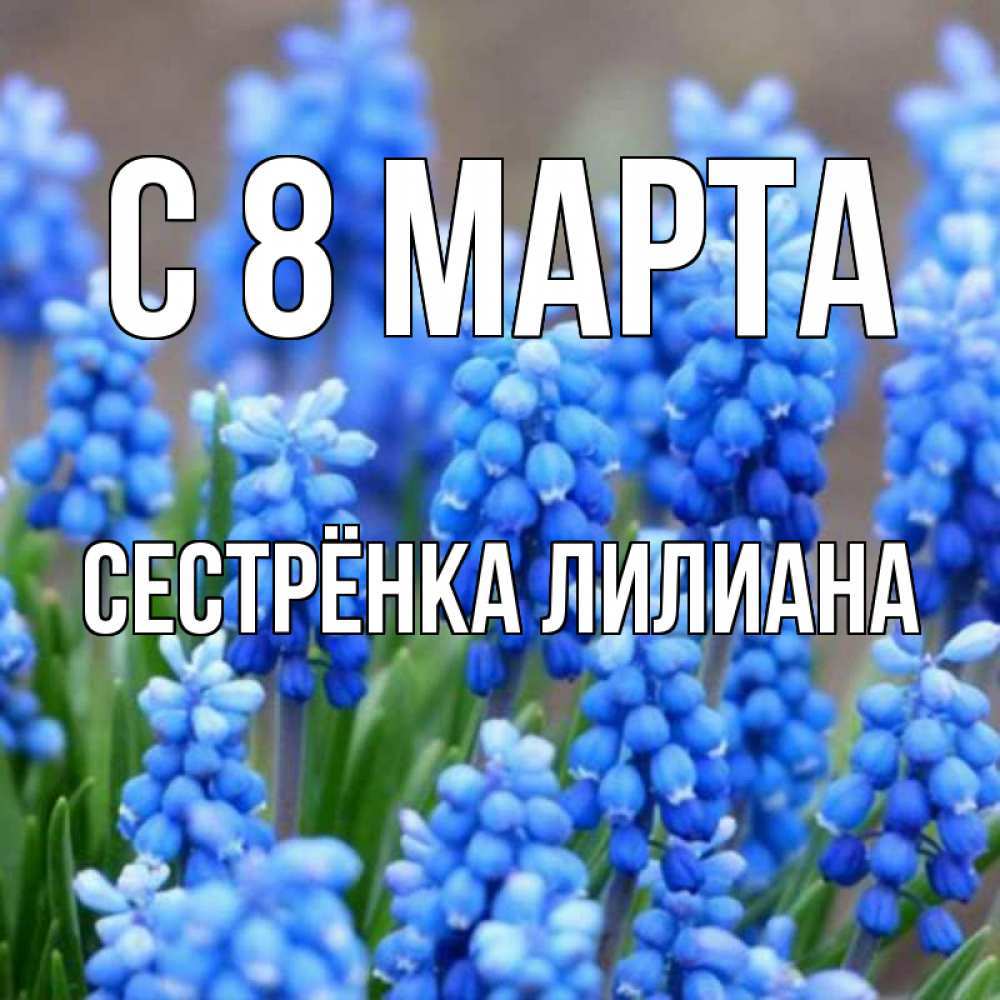 Открытка на каждый день с именем, Сестрёнка-Лилиана С 8 МАРТА Поздравительная открытка для женщин с цветами на праздничную дату Прикольная открытка с пожеланием онлайн скачать бесплатно 