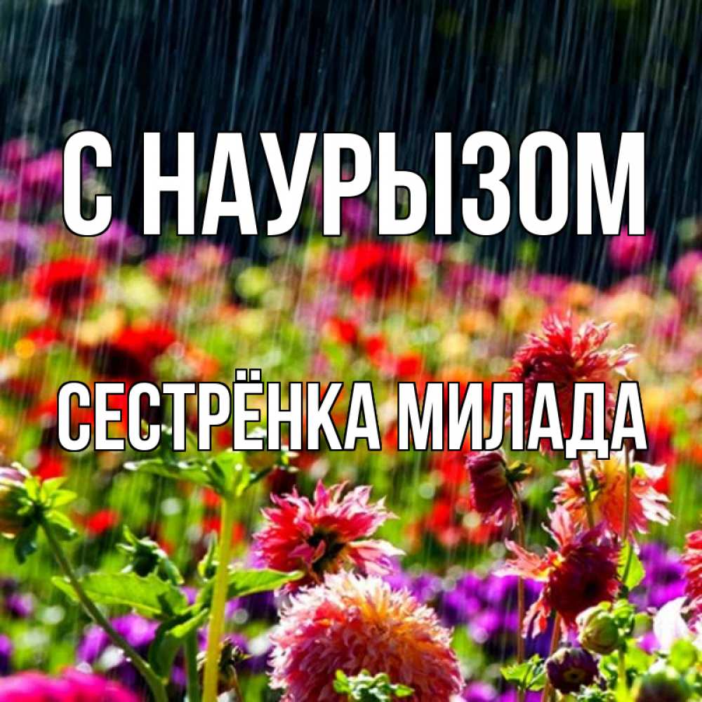 Открытка на каждый день с именем, Сестрёнка-Милада С наурызом цветы под дождиком к международному женскому дню Прикольная открытка с пожеланием онлайн скачать бесплатно 