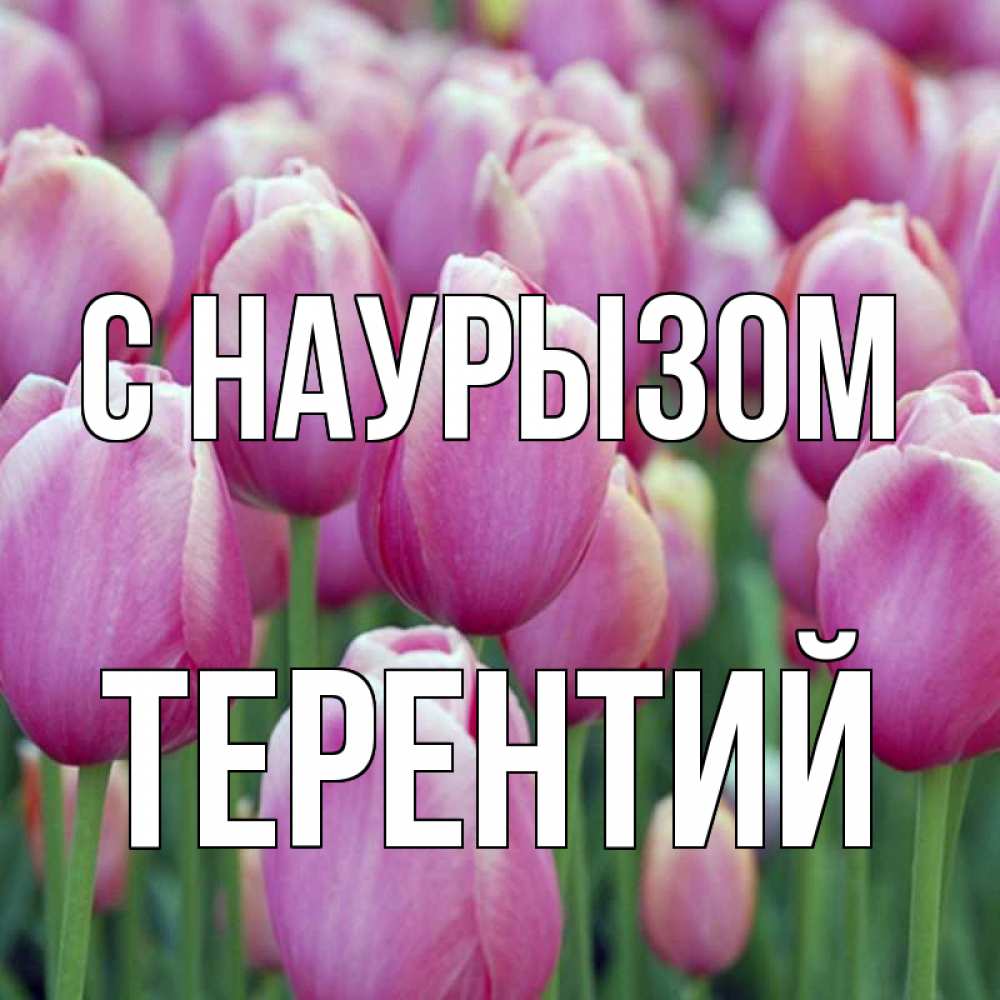 Открытка на каждый день с именем, Терентий С наурызом праздник весны наурыз 69 Прикольная открытка с пожеланием онлайн скачать бесплатно 