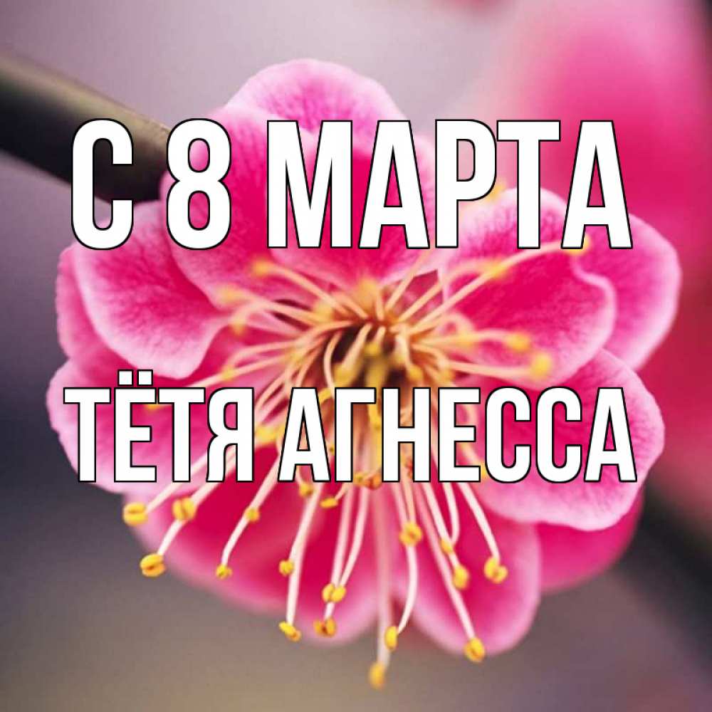 Открытка на каждый день с именем, Тётя-Агнесса С 8 МАРТА цветы Прикольная открытка с пожеланием онлайн скачать бесплатно 