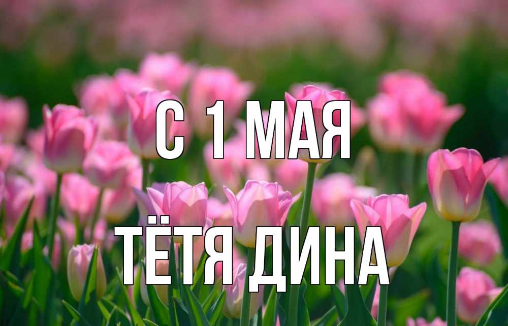 Открытка на каждый день с именем, Тётя-Дина С 1 мая С 1 мая Прикольная открытка с пожеланием онлайн скачать бесплатно 
