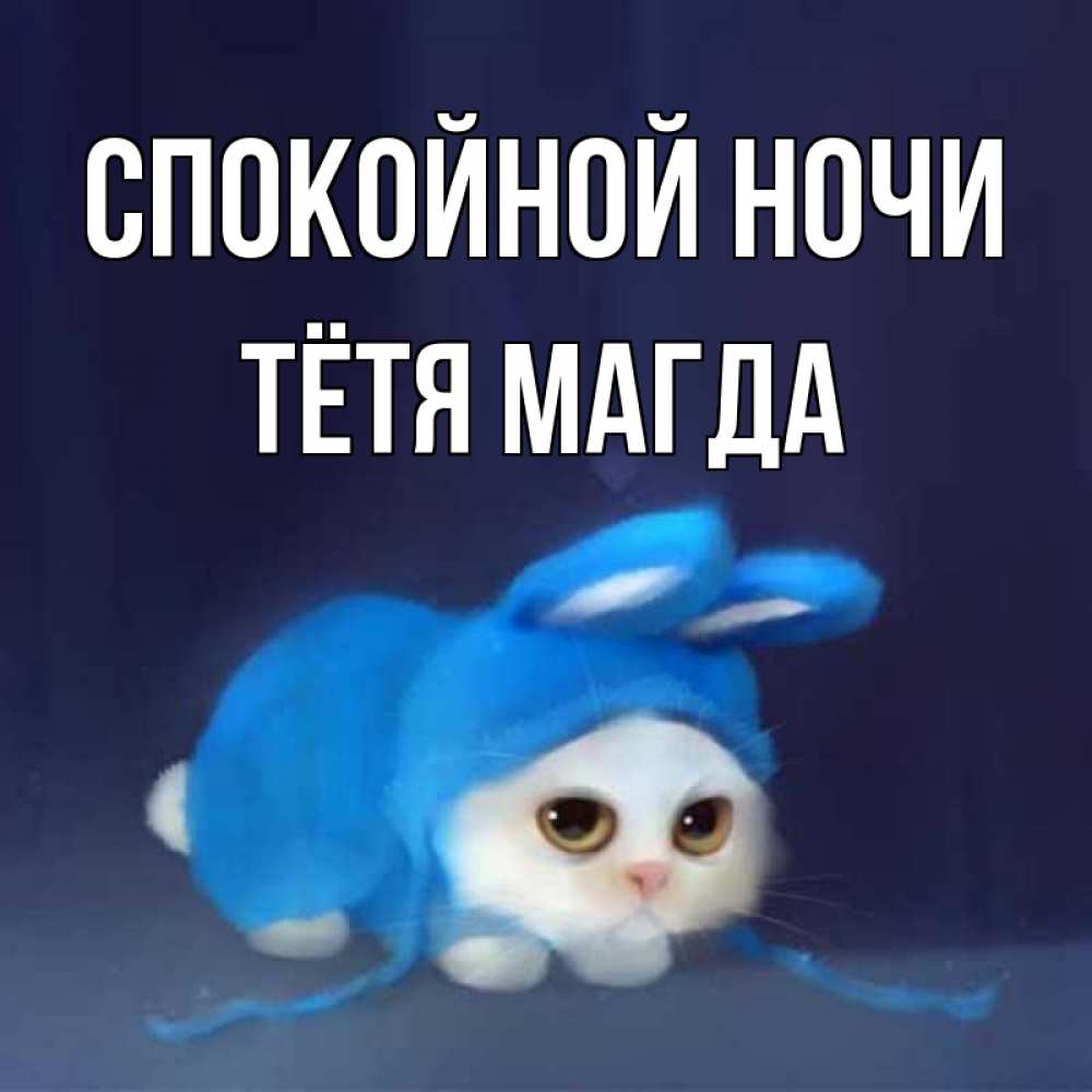 Открытка на каждый день с именем, Тётя-Магда Спокойной ночи кот в голубом костюме кролика с ушками Прикольная открытка с пожеланием онлайн скачать бесплатно 