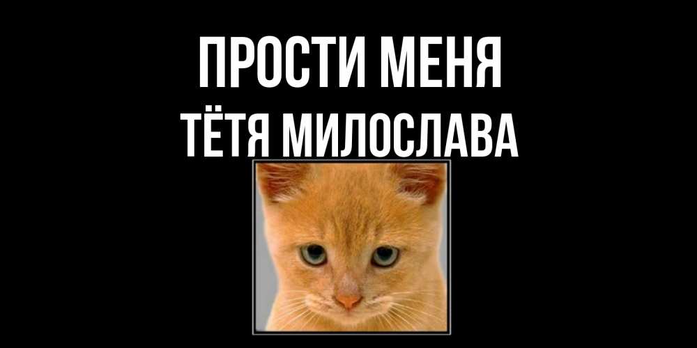 Открытка на каждый день с именем, Тётя-Милослава Прости меня рыжий грустный кот просит прощения Прикольная открытка с пожеланием онлайн скачать бесплатно 