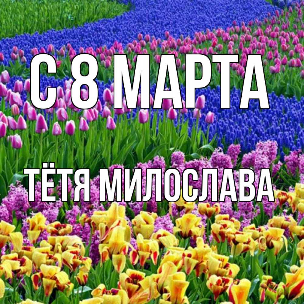 Открытка на каждый день с именем, Тётя-Милослава С 8 МАРТА цветы Прикольная открытка с пожеланием онлайн скачать бесплатно 