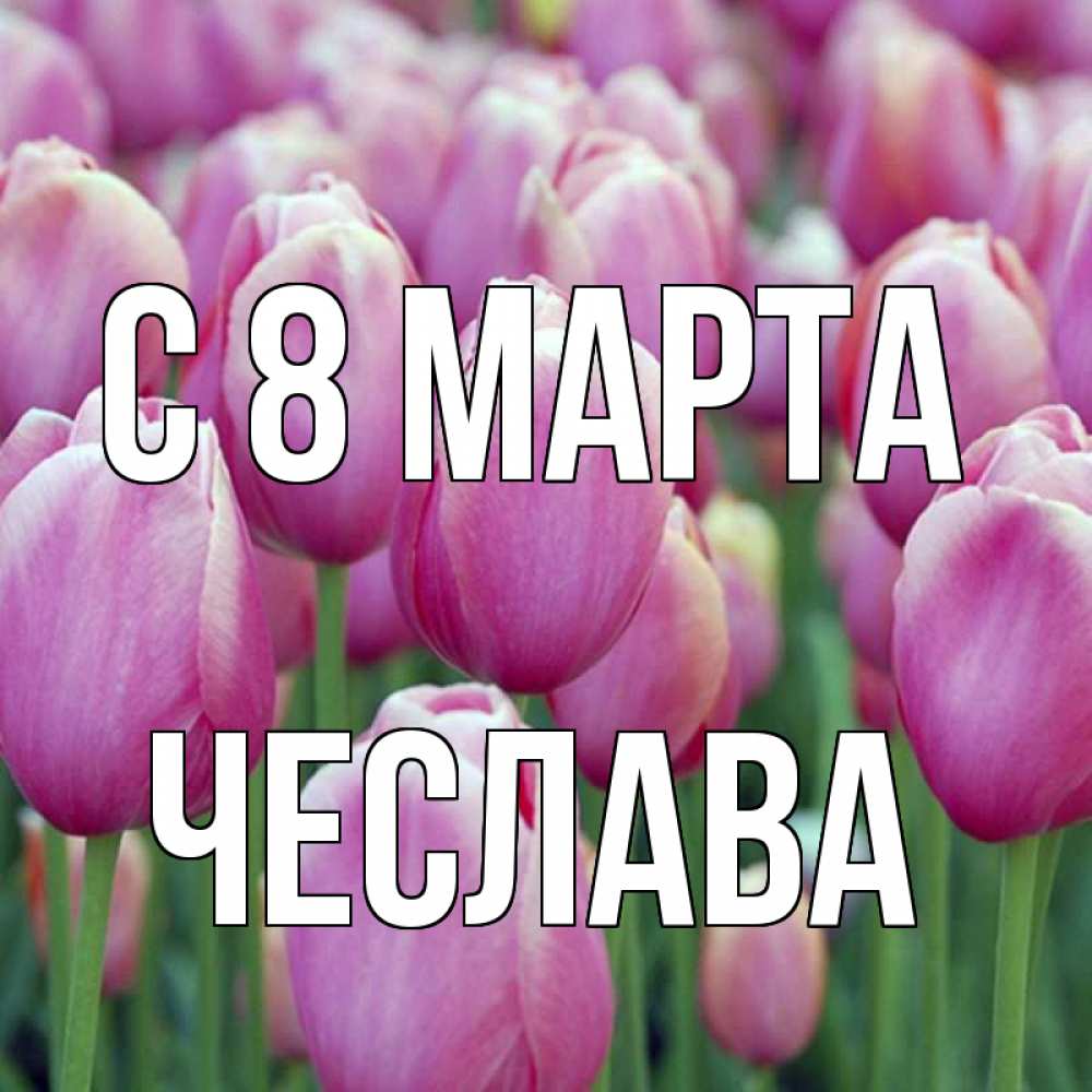Открытка на каждый день с именем, Чеслава С 8 МАРТА на международный женский день 3 Прикольная открытка с пожеланием онлайн скачать бесплатно 