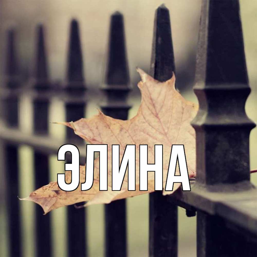 Открытка на каждый день с именем, Элина Главная очень скучно Прикольная открытка с пожеланием онлайн скачать бесплатно 