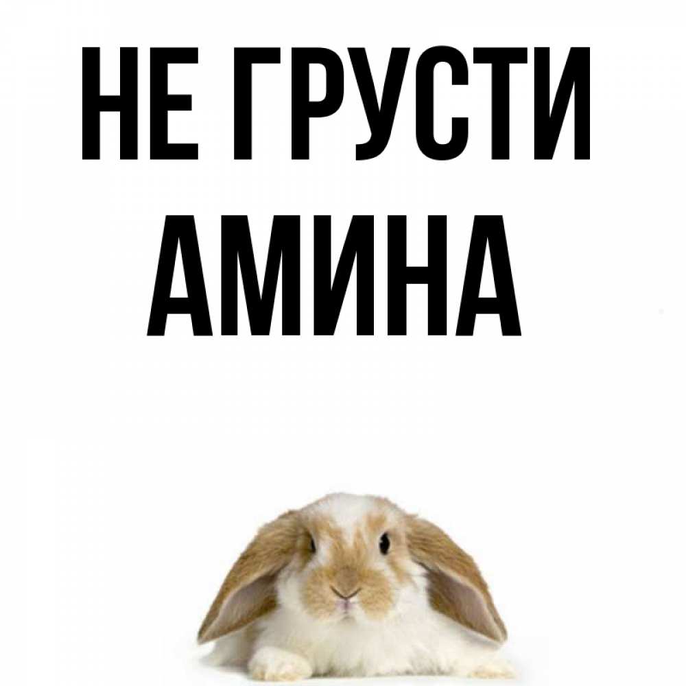 Открытки днем, картинки с надписью не грусти заяц