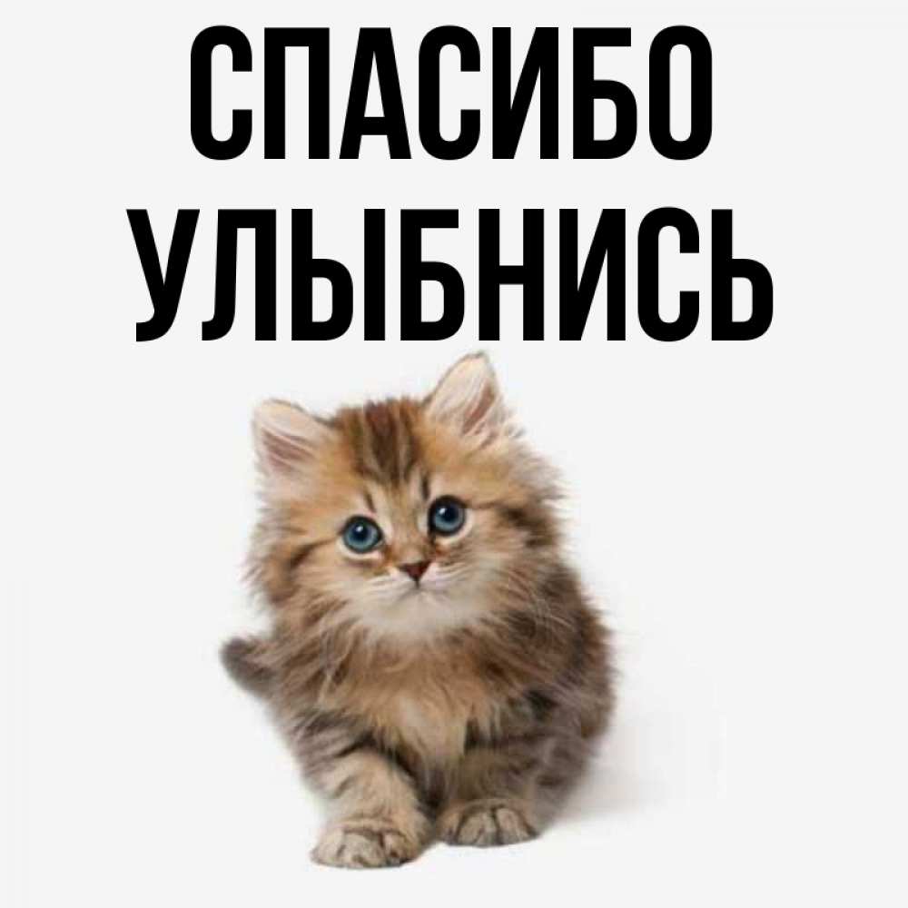 Спасибо улыбаюсь картинки