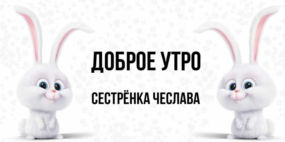 Открытка на каждый день с именем, Сестрёнка-Чеслава Доброе утро кролики с длинными ушками Прикольная открытка с пожеланием онлайн скачать бесплатно 