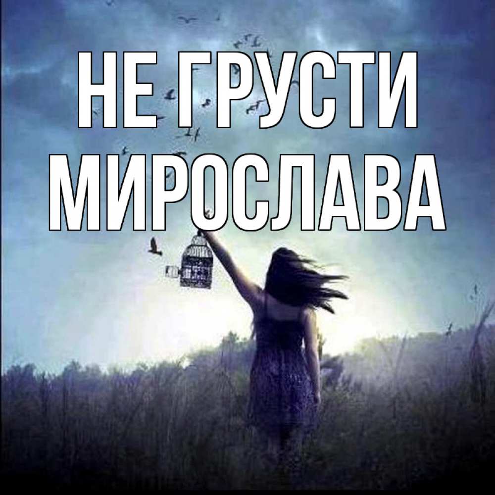 Открытка на каждый день с именем, Мирослава Не грусти на волю Прикольная открытка с пожеланием онлайн скачать бесплатно 