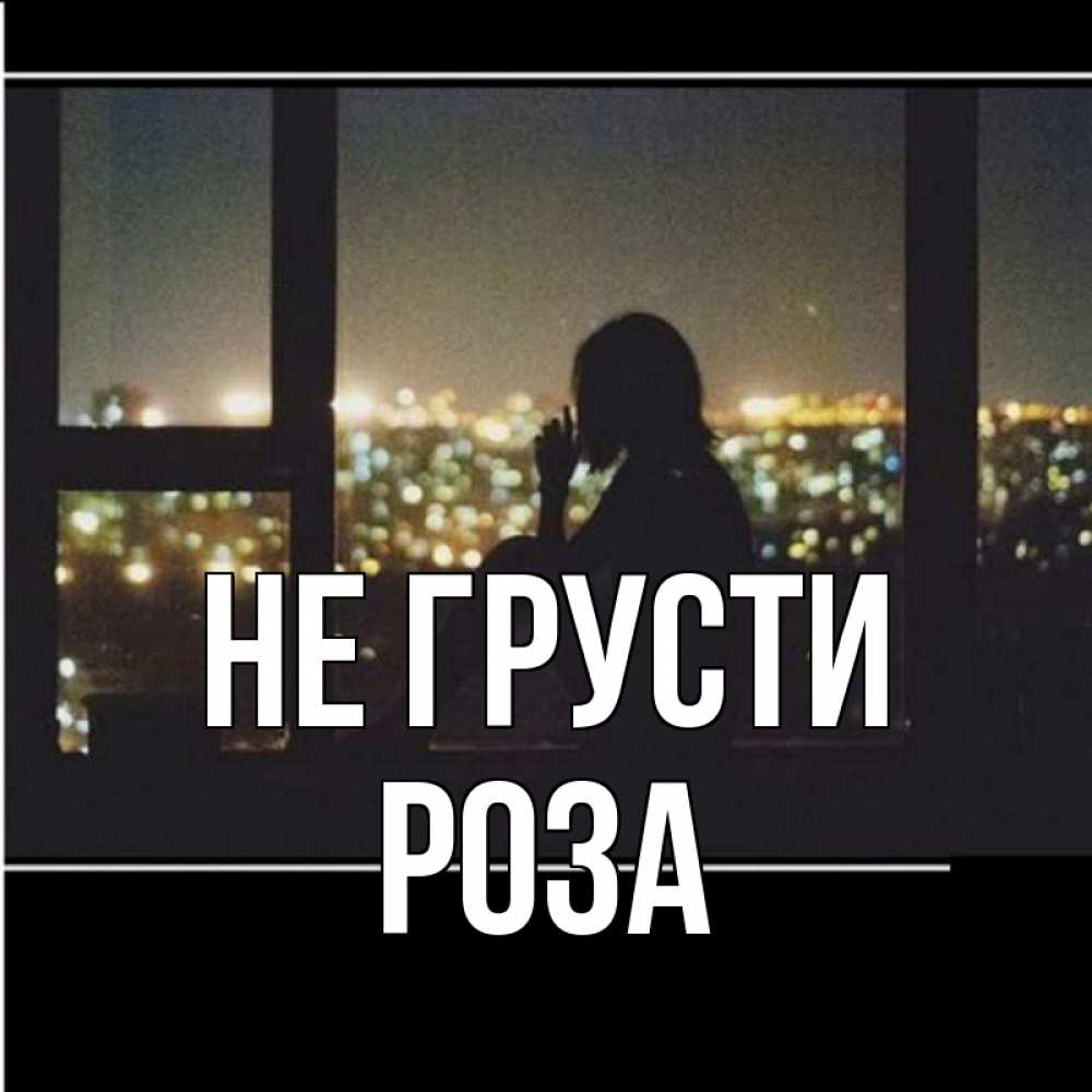 Открытка на каждый день с именем, Роза Не грусти смотрит на ночной город Прикольная открытка с пожеланием онлайн скачать бесплатно 
