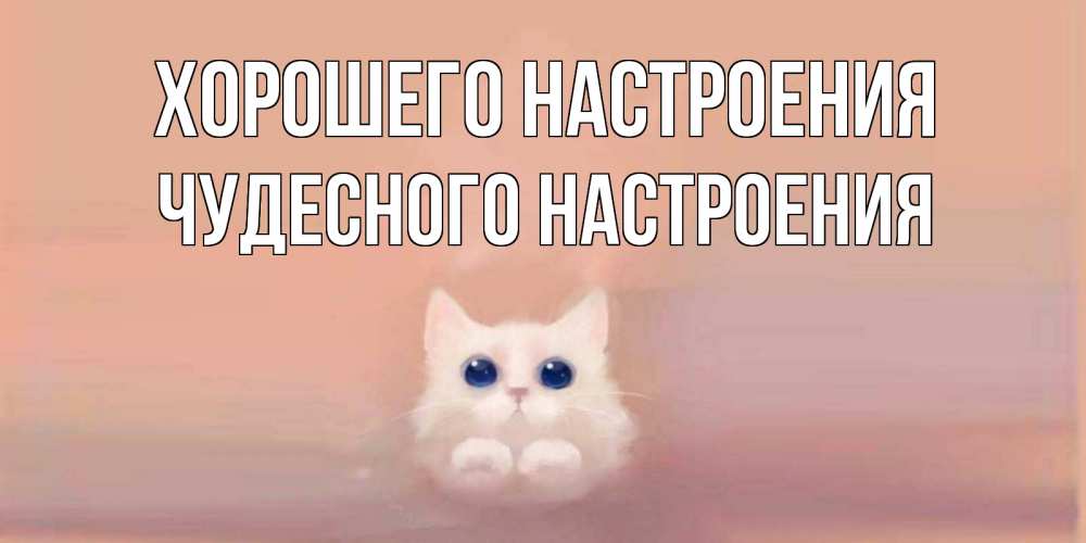 Открытка на каждый день с именем, Чудесного-настроения Хорошего настроения кошка Прикольная открытка с пожеланием онлайн скачать бесплатно 