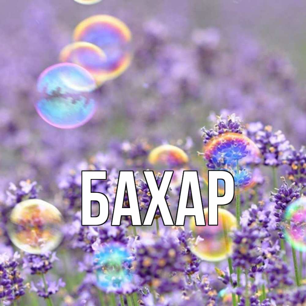 Открытка на каждый день с именем, Бахар Главная цветы Прикольная открытка с пожеланием онлайн скачать бесплатно 