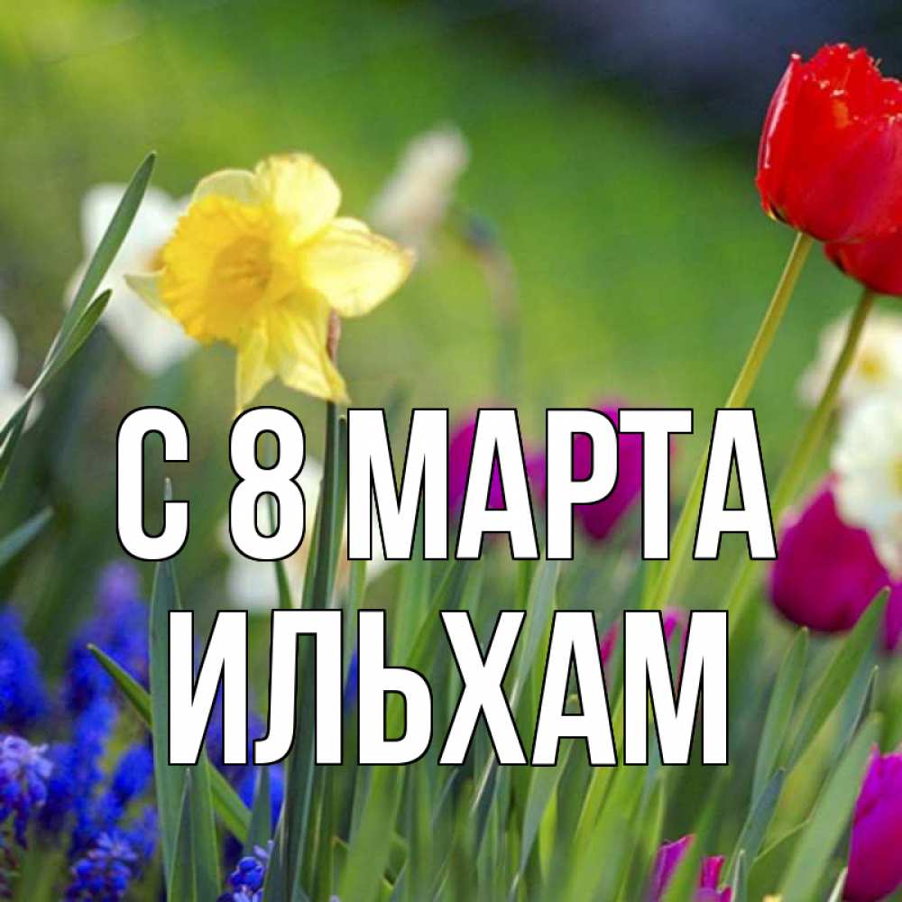 Открытка на каждый день с именем, Ильхам С 8 МАРТА международный женский день 3 Прикольная открытка с пожеланием онлайн скачать бесплатно 