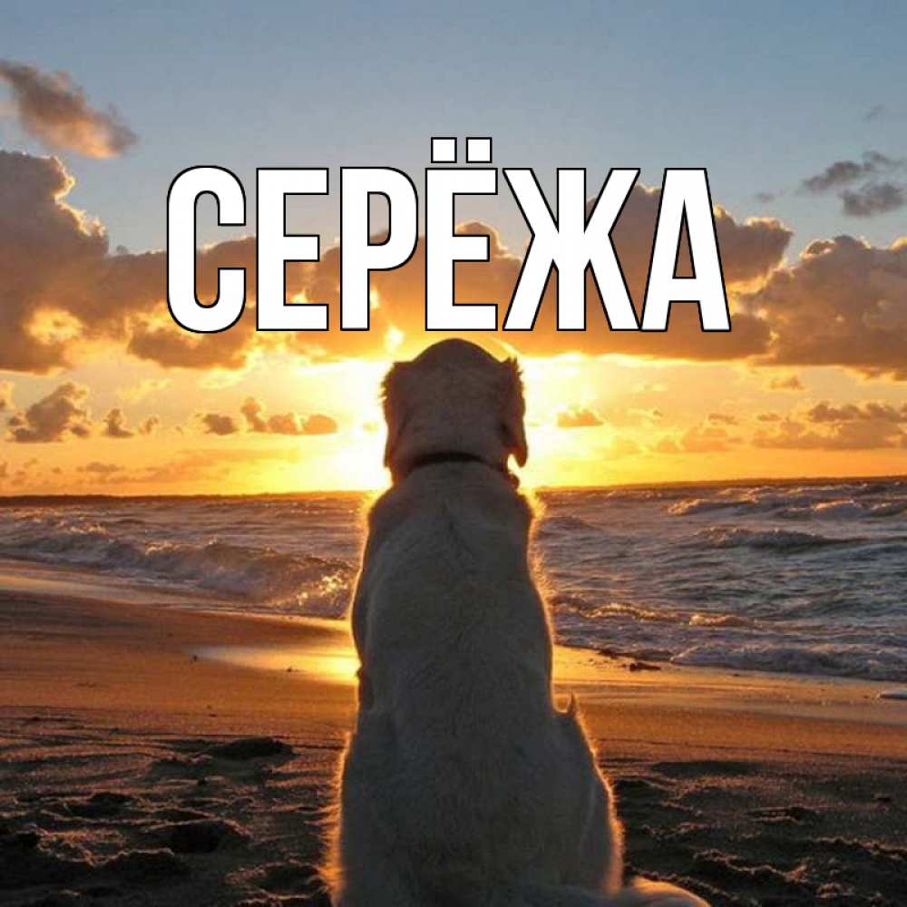 Открытка на каждый день с именем, Серёжа Главная восход солнца Прикольная открытка с пожеланием онлайн скачать бесплатно 