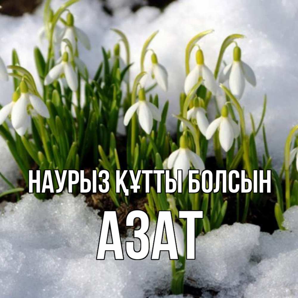 Открытка на каждый день с именем, Азат Наурыз құтты болсын цветы весенние Прикольная открытка с пожеланием онлайн скачать бесплатно 