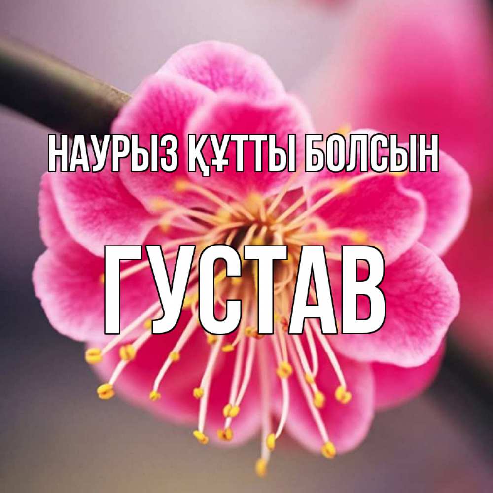 Открытка на каждый день с именем, Густав Наурыз құтты болсын цветы Прикольная открытка с пожеланием онлайн скачать бесплатно 