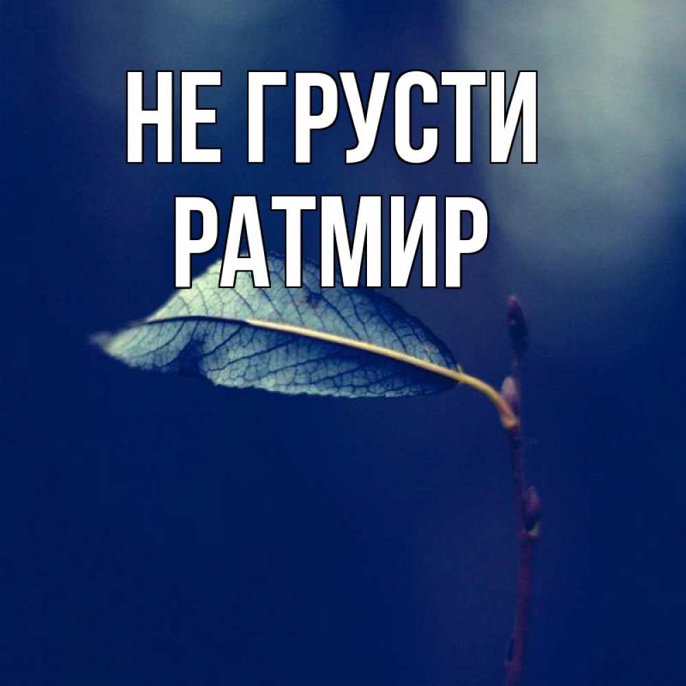 Открытка на каждый день с именем, Ратмир Не грусти растение Прикольная открытка с пожеланием онлайн скачать бесплатно 