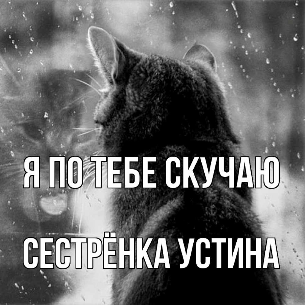 Открытка на каждый день с именем, Сестрёнка-Устина Я по тебе скучаю скорее ко мне приходи 1 Прикольная открытка с пожеланием онлайн скачать бесплатно 