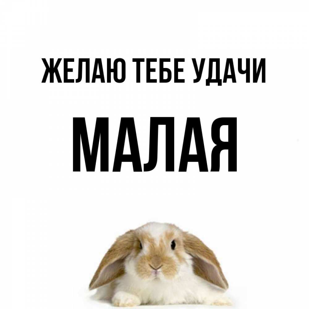 Имя малай