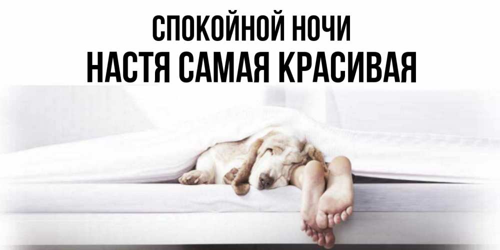 Открытка на каждый день с именем, Настя-самая-красивая Спокойной ночи кровать с собакой пожелание сладких снов и спокойной ночи Прикольная открытка с пожеланием онлайн скачать бесплатно 