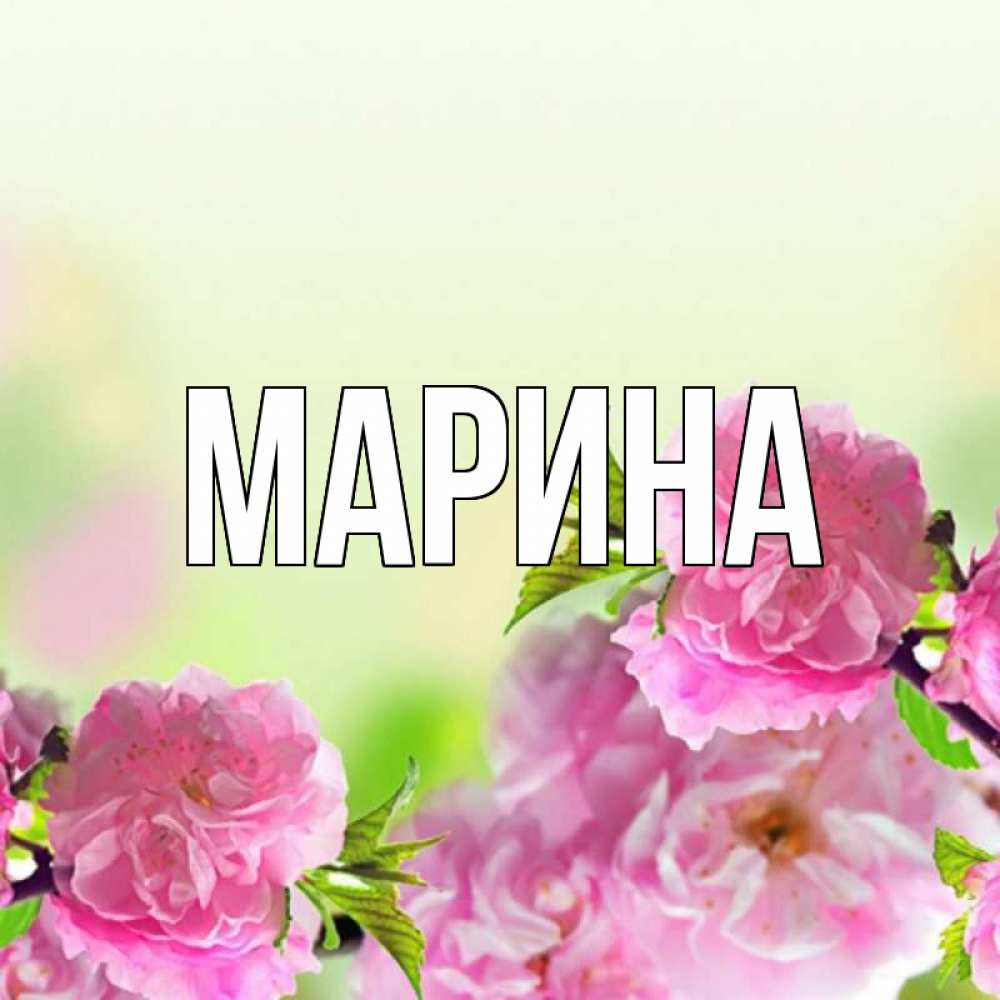 Открытка на каждый день с именем, Марина Главная цветы Прикольная открытка с пожеланием онлайн скачать бесплатно 