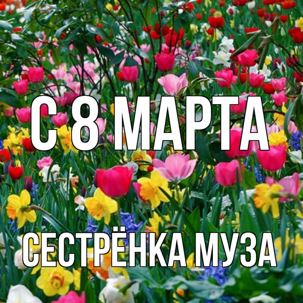 Открытка на каждый день с именем, Сестрёнка-Муза С 8 марта с международным женским днем поздравления для женщины Прикольная открытка с пожеланием онлайн скачать бесплатно 