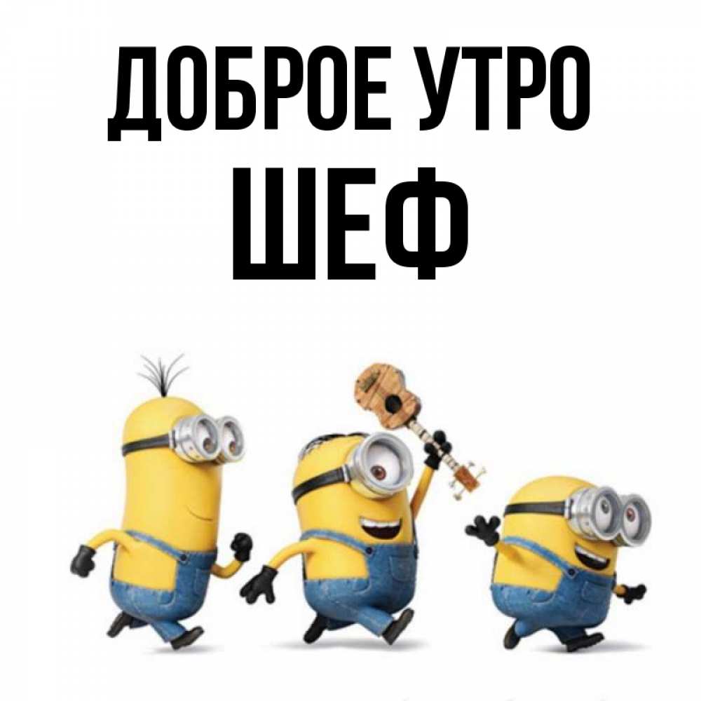 Открытка на каждый день с именем, Шеф Доброе утро миньоны и прекрасное утро Прикольная открытка с пожеланием онлайн скачать бесплатно 