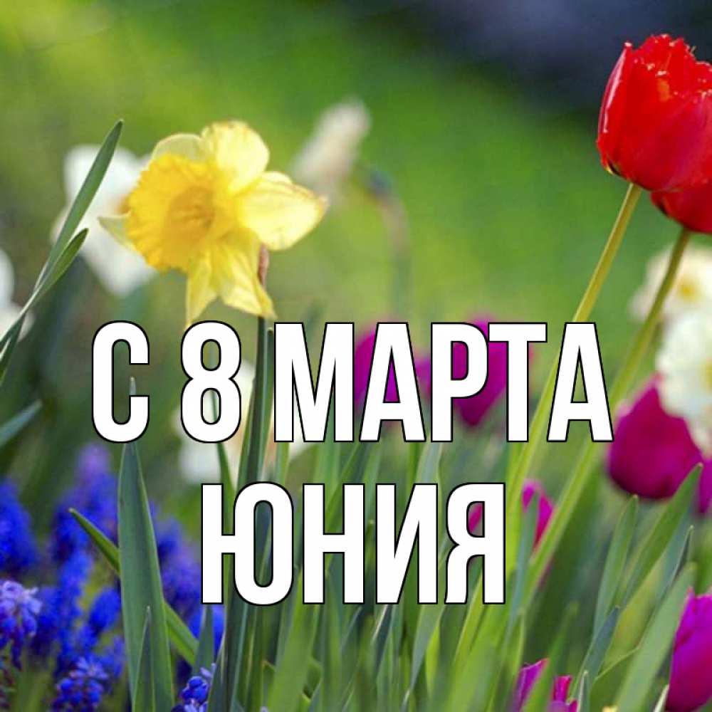 Открытка на каждый день с именем, Юния С 8 МАРТА международный женский день 3 Прикольная открытка с пожеланием онлайн скачать бесплатно 