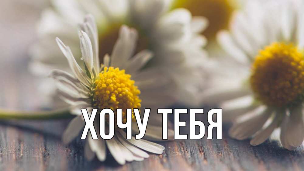 Открытка на каждый день с именем, Хочу-тебя Главная с днем семьи Прикольная открытка с пожеланием онлайн скачать бесплатно 