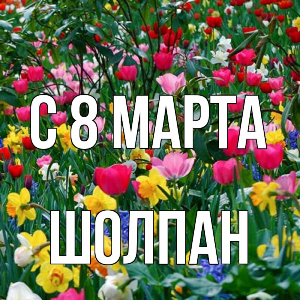 Открытка на каждый день с именем, Шолпан С 8 МАРТА с международным женским днем поздравления для женщины Прикольная открытка с пожеланием онлайн скачать бесплатно 