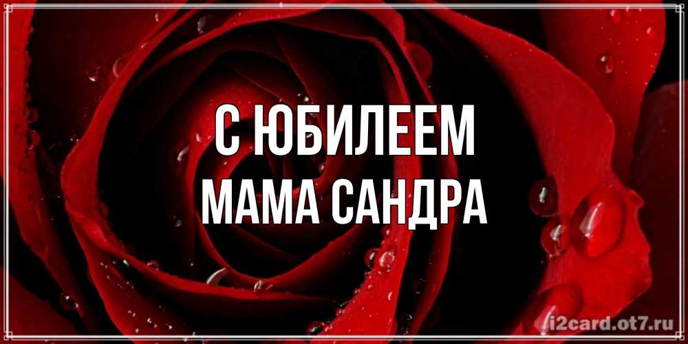 Открытка на каждый день с именем, Мама-Сандра С юбилеем крупная бордовая роза Прикольная открытка с пожеланием онлайн скачать бесплатно 