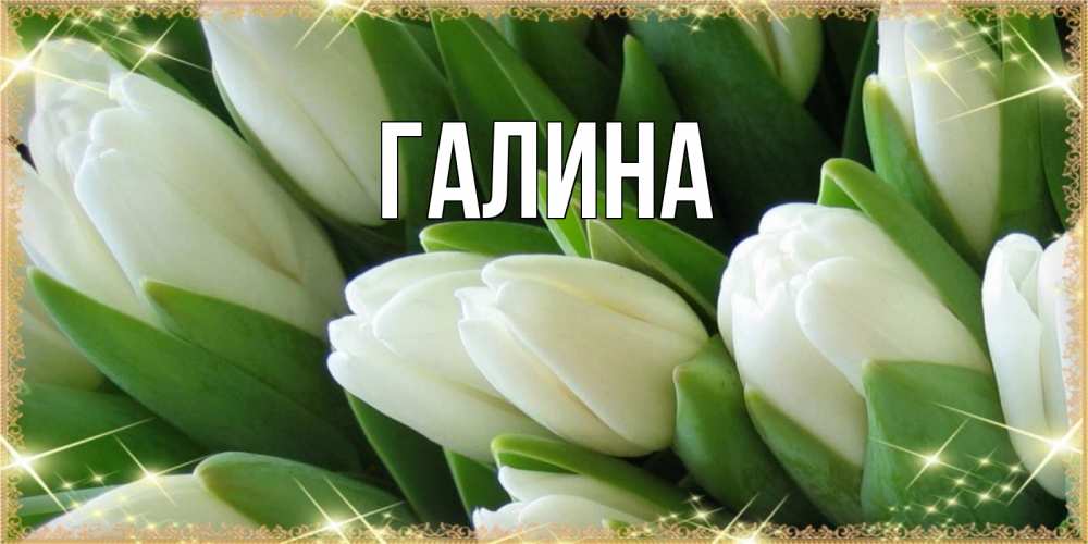 Открытка на каждый день с именем, Галина Главная поздравляем с 8 марта Прикольная открытка с пожеланием онлайн скачать бесплатно 