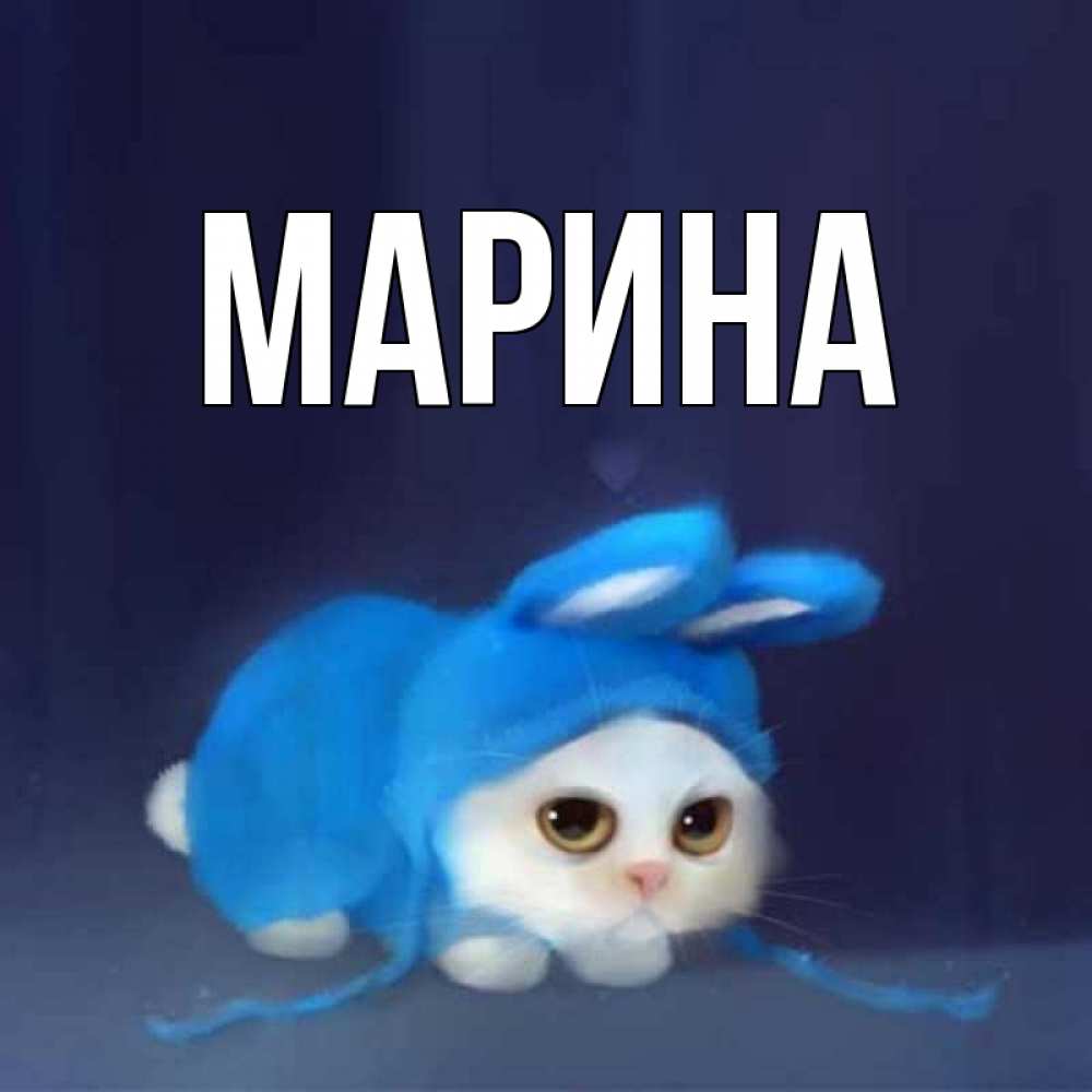 Открытка на каждый день с именем, Марина Главная невинный котозай просит прощения Прикольная открытка с пожеланием онлайн скачать бесплатно 