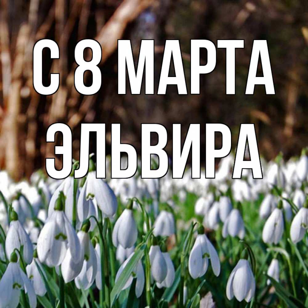 Открытка на каждый день с именем, Эльвира С 8 марта с подснежниками 1 Прикольная открытка с пожеланием онлайн скачать бесплатно 