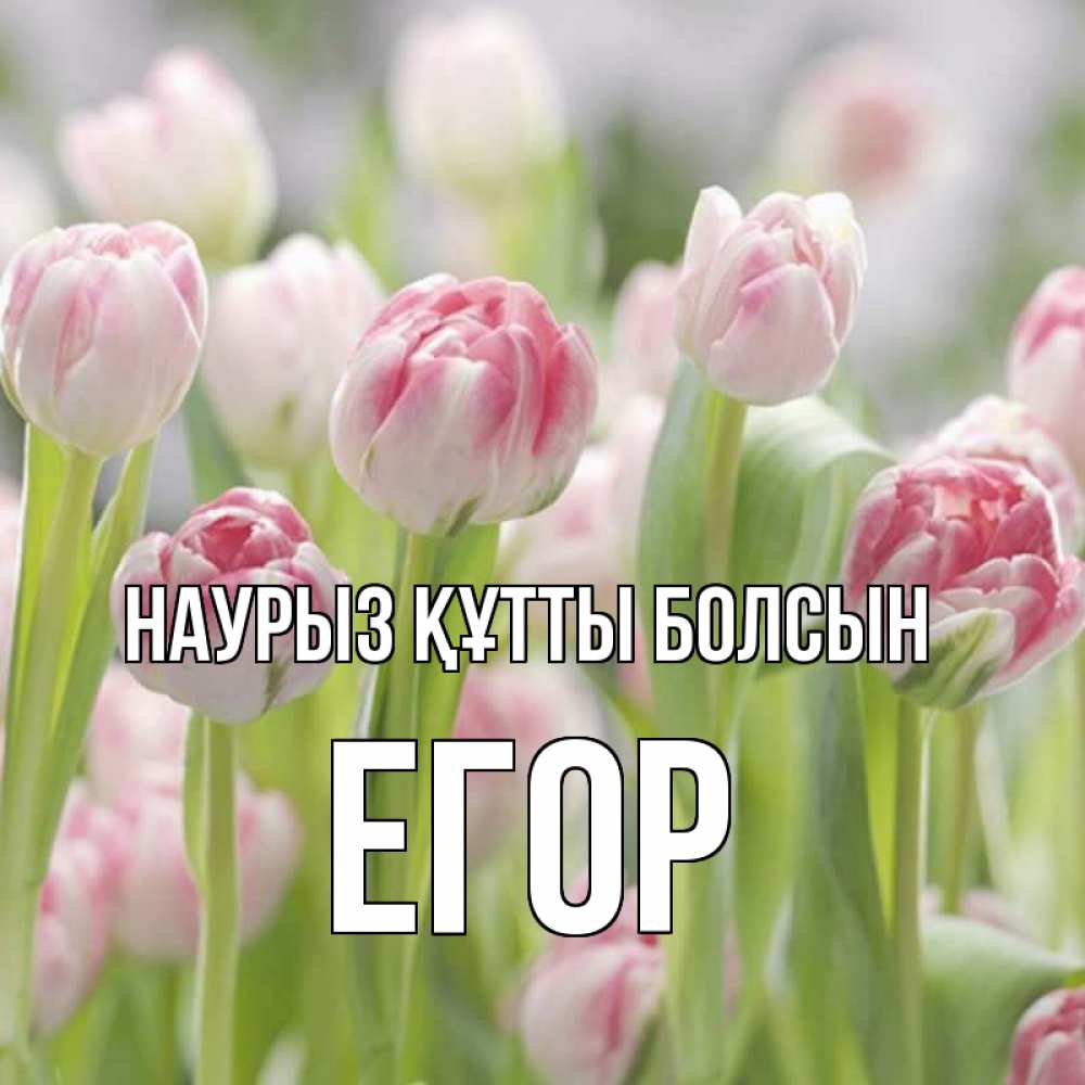 Открытка на каждый день с именем, Егор Наурыз құтты болсын цветы Прикольная открытка с пожеланием онлайн скачать бесплатно 