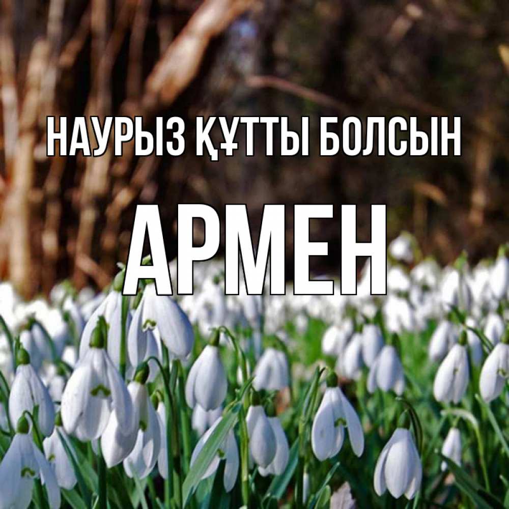 Открытка на каждый день с именем, Армен Наурыз құтты болсын с подснежниками 1 Прикольная открытка с пожеланием онлайн скачать бесплатно 