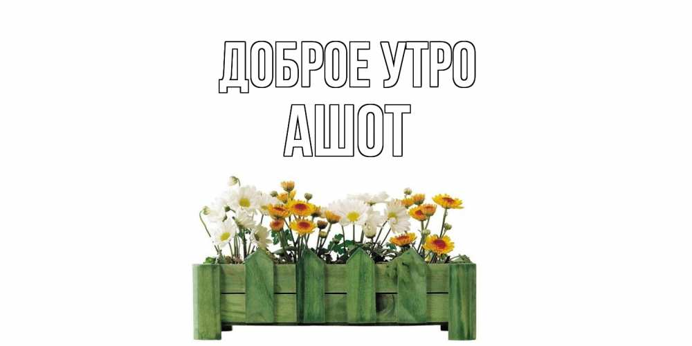 Открытка на каждый день с именем, Ашот Доброе утро цветы Прикольная открытка с пожеланием онлайн скачать бесплатно 