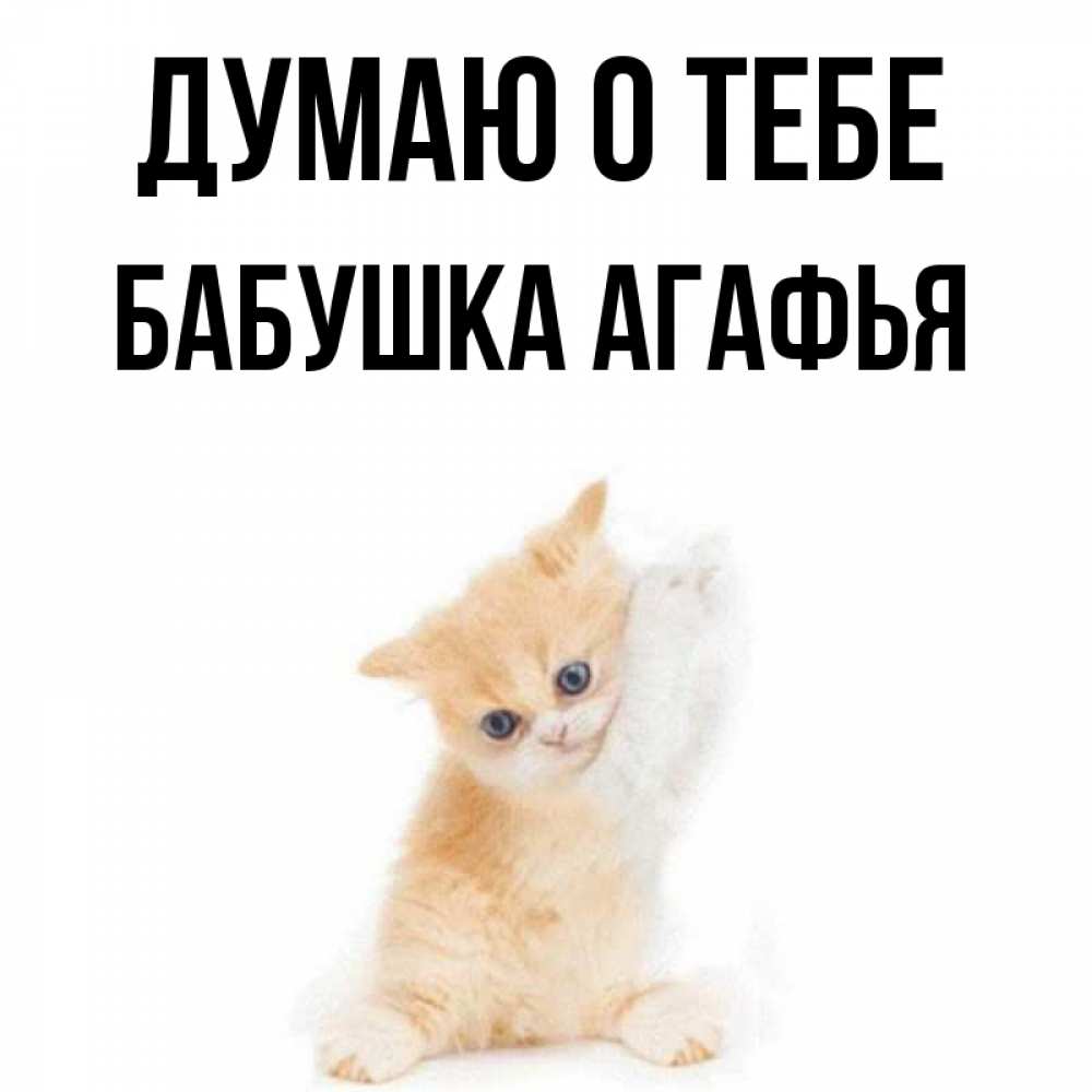 Открытка на каждый день с именем, Бабушка-Агафья Думаю о тебе зверушки и милота Прикольная открытка с пожеланием онлайн скачать бесплатно 