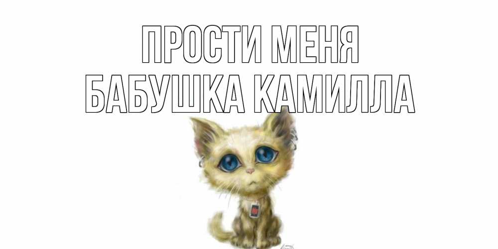 Открытка на каждый день с именем, Бабушка-Камилла Прости меня прости меня открытка с котиком Прикольная открытка с пожеланием онлайн скачать бесплатно 
