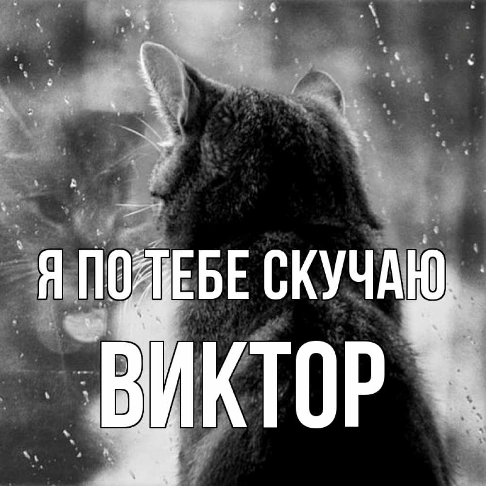 Открытка на каждый день с именем, Виктор Я по тебе скучаю скорее ко мне приходи 1 Прикольная открытка с пожеланием онлайн скачать бесплатно 