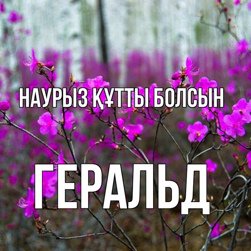 Открытка на каждый день с именем, Геральд Наурыз құтты болсын дикие цветы Прикольная открытка с пожеланием онлайн скачать бесплатно 