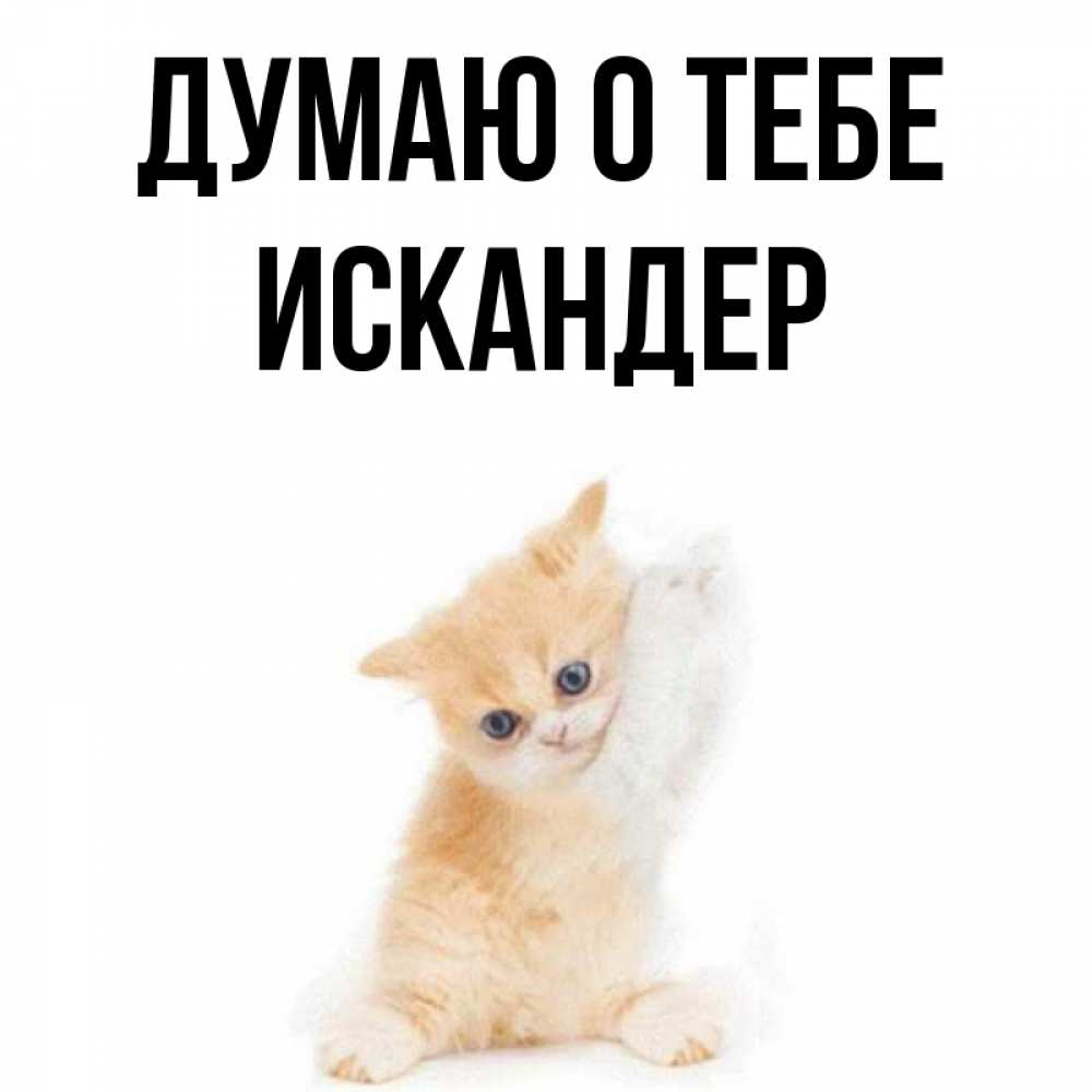 Открытка на каждый день с именем, Искандер Думаю о тебе зверушки и милота Прикольная открытка с пожеланием онлайн скачать бесплатно 