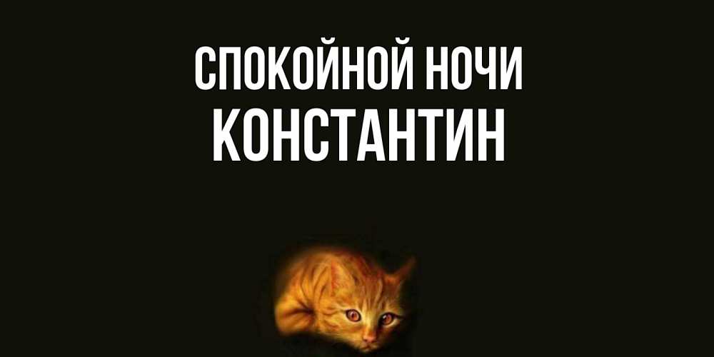 Открытка на каждый день с именем, Константин Спокойной ночи кот Прикольная открытка с пожеланием онлайн скачать бесплатно 