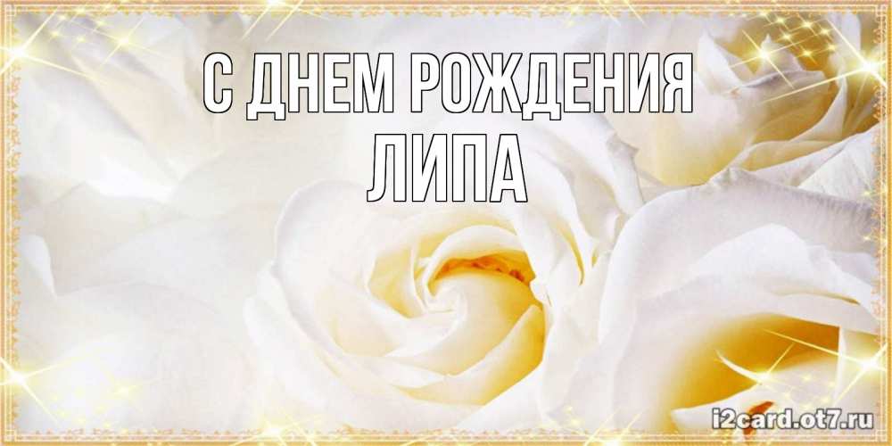 Открытка на каждый день с именем, ЛИПА С днем рождения красивые розы и капли росы на этих чудесных цветах Прикольная открытка с пожеланием онлайн скачать бесплатно 