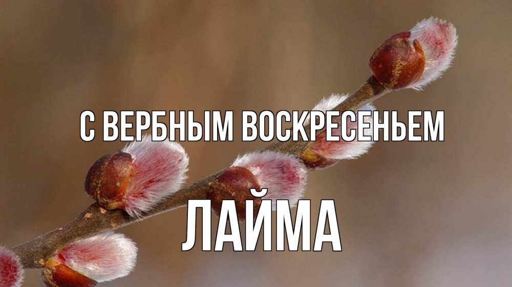 Открытка на каждый день с именем, Лайма С вербным воскресеньем верба Прикольная открытка с пожеланием онлайн скачать бесплатно 