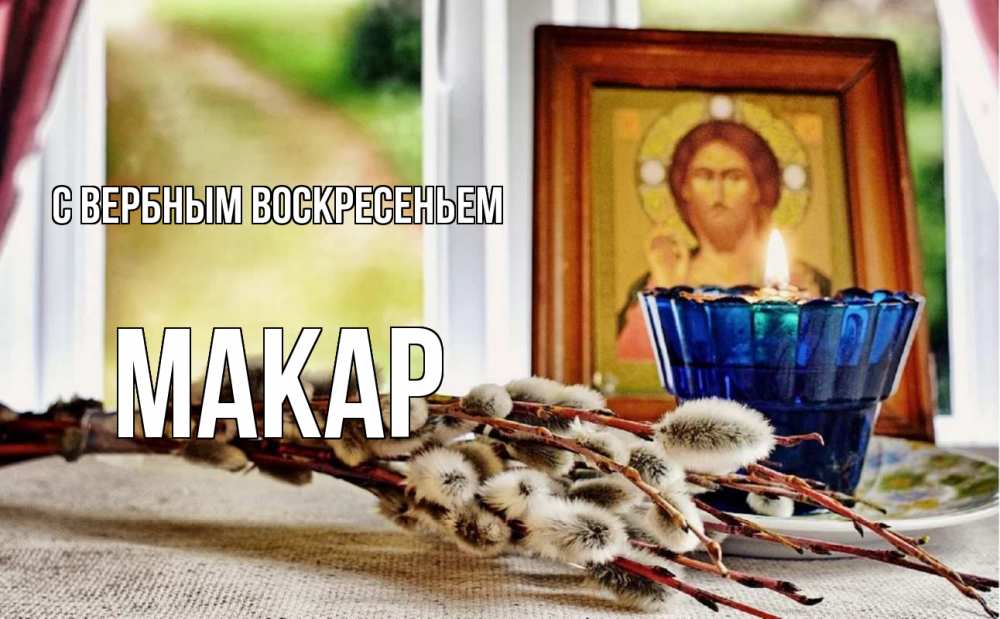 Открытка на каждый день с именем, Макар С вербным воскресеньем верба Прикольная открытка с пожеланием онлайн скачать бесплатно 