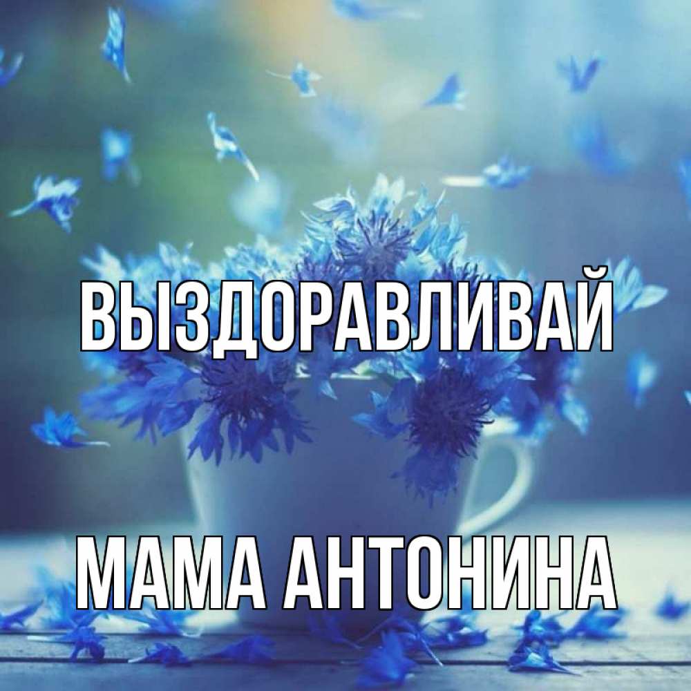 Открытка на каждый день с именем, Мама-Антонина Выздоравливай кружка с зельем и цветами Прикольная открытка с пожеланием онлайн скачать бесплатно 